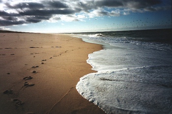footprints 5